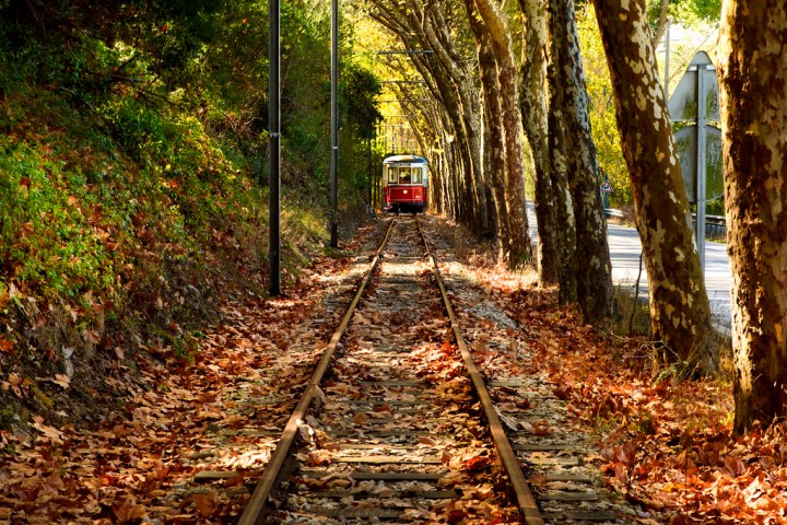 a train traveling down train tracks near a forest