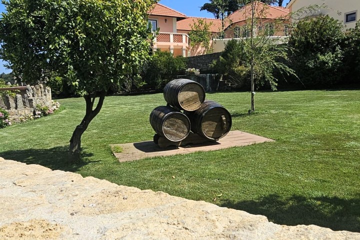 a tree in front of a building