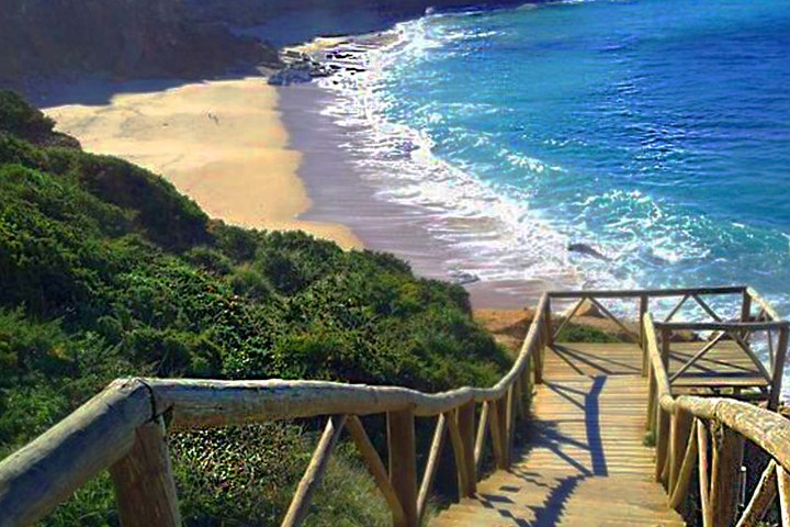 a bench overlooking the ocean