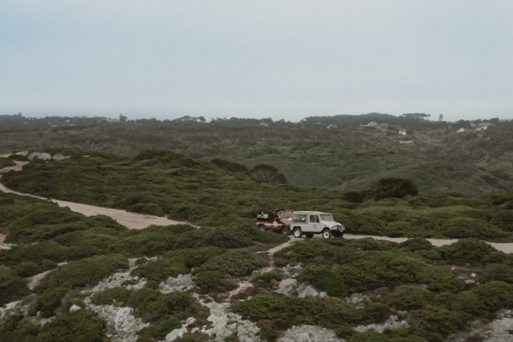 a close up of a hillside