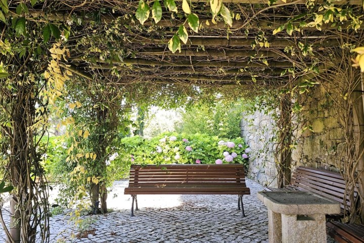 a bench in a garden