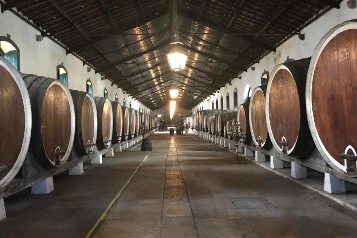 a large long train on a barrel