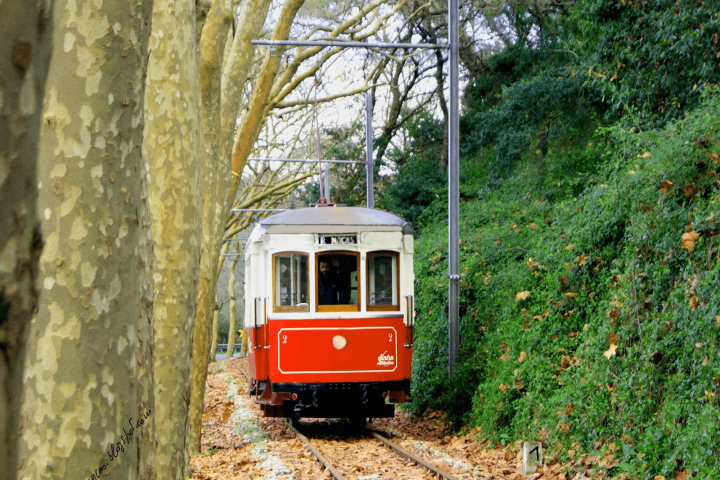 a bus traveling on a train track with trees in the background