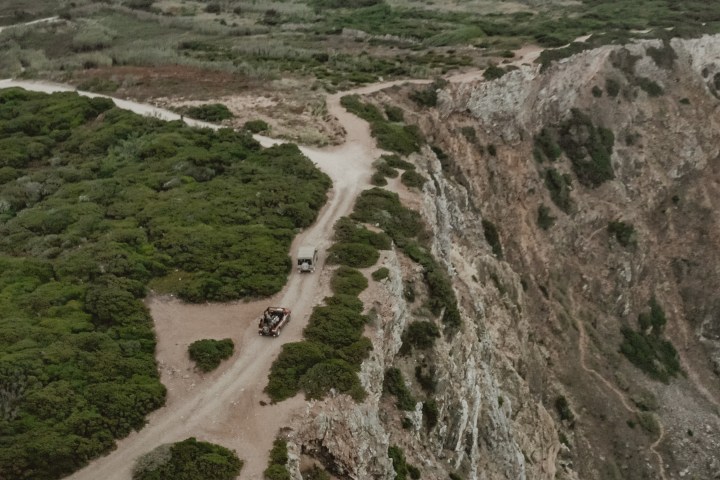 a herd of sheep standing on top of a rocky mountain