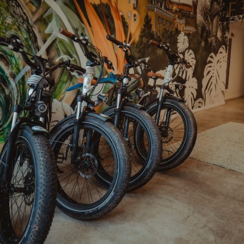 E-Bike Rental - Wonder Van Store - Sintra.