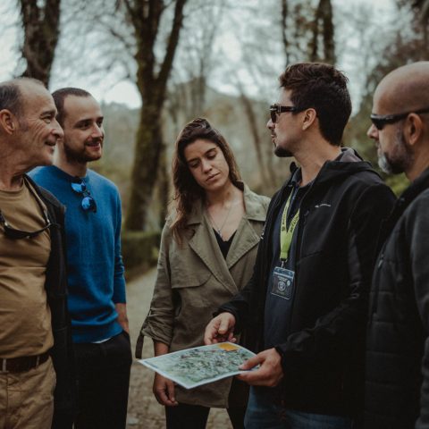 Team Building in Sintra with Wonder Van