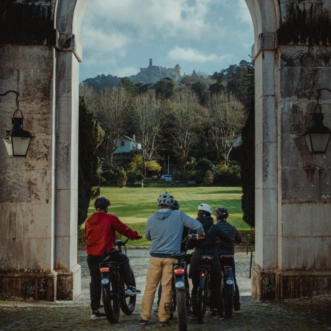 View of Seteais on an Electric Bike Tour.
