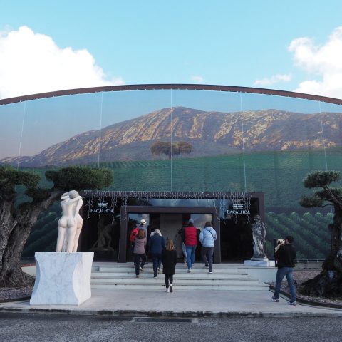 Visit to Quinta da Bacalhôa with Wonder Van.