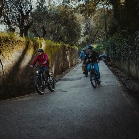 Creative Electric Bike Tour in Sintra.