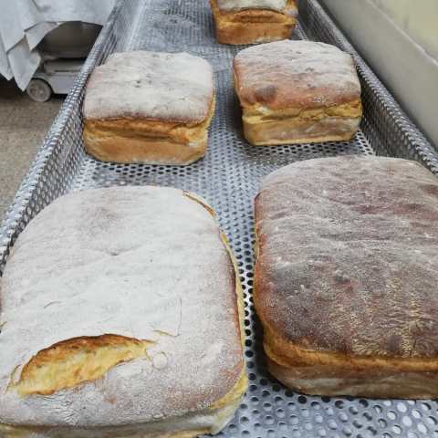 Portuguese Bakery.