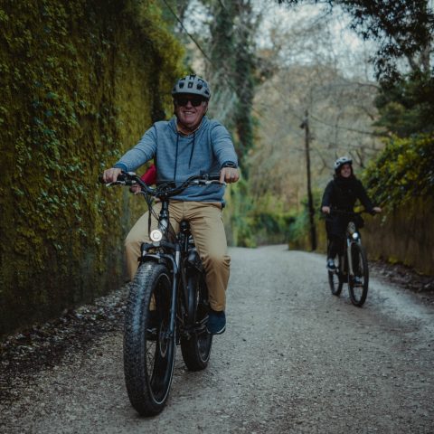 Creative Electric Bike Tour in Sintra.
