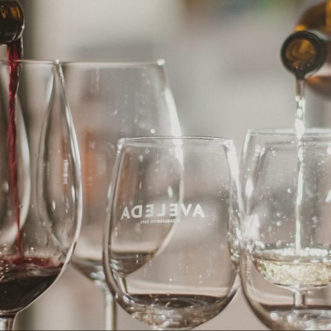 Prova de Vinhos em Mafra