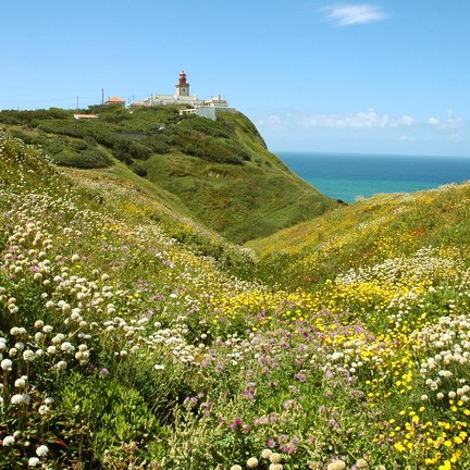 View of Cabo da Roca.