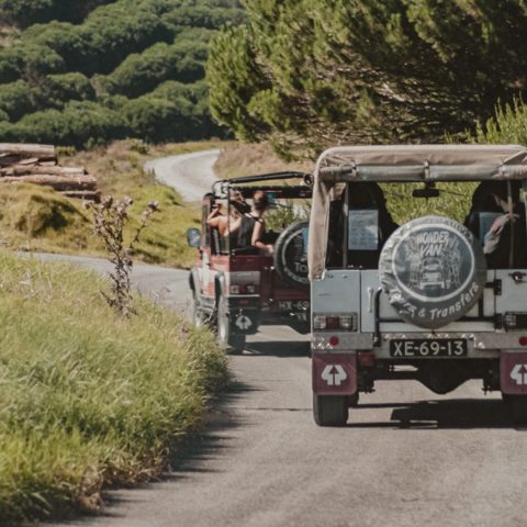 Off-Road Jeep Tours.