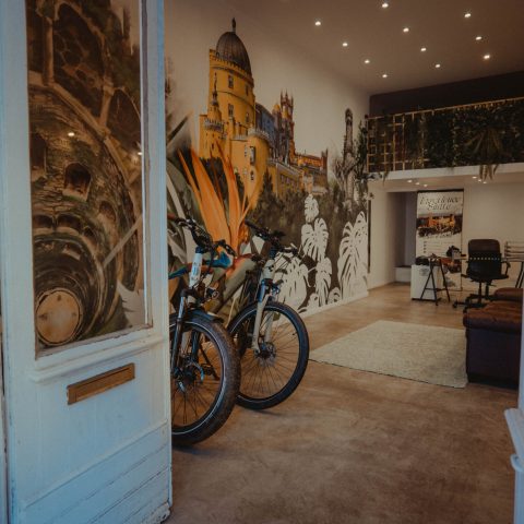 Electric Bike Tours with Wonder Van.