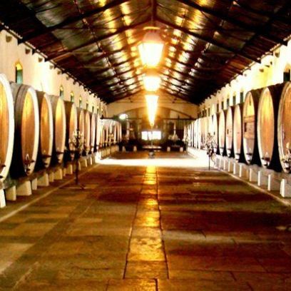 Wine tasting at Adega de Colares.