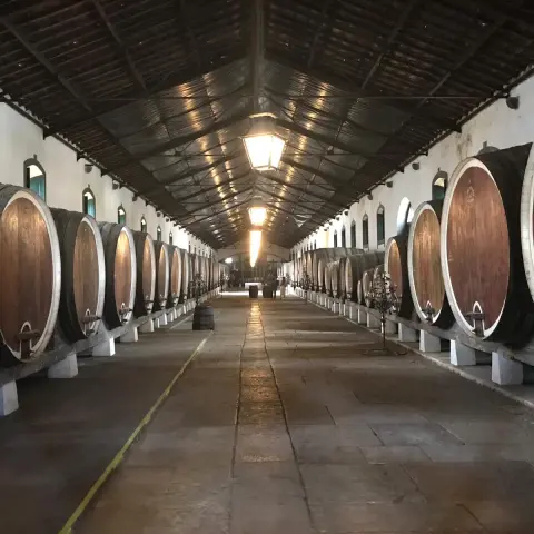 Regional Winery of Colares - Sintra.