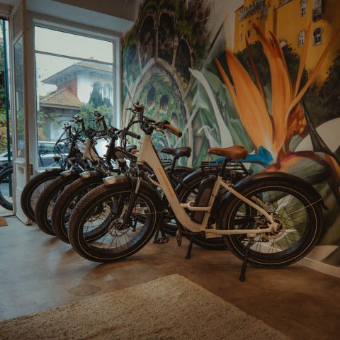 E-Bikes for Rent - Wonder Van Sintra Store.