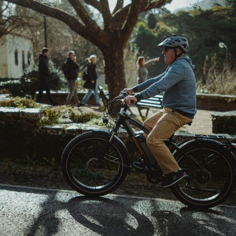 Jardins da Vigia by E-Bike