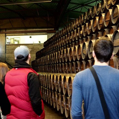 Inside Quinta da Bacalhôa.