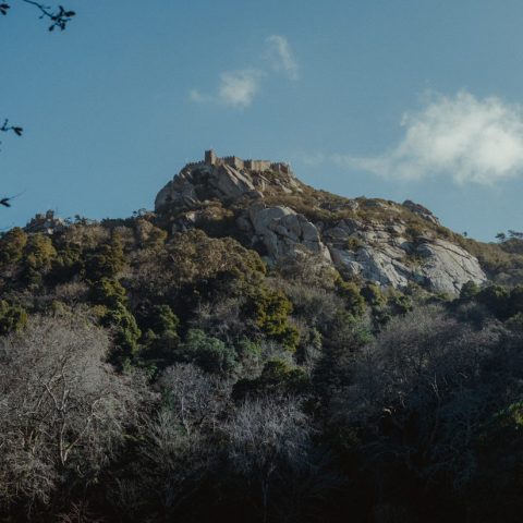 Ancestral Castles of Sintra.