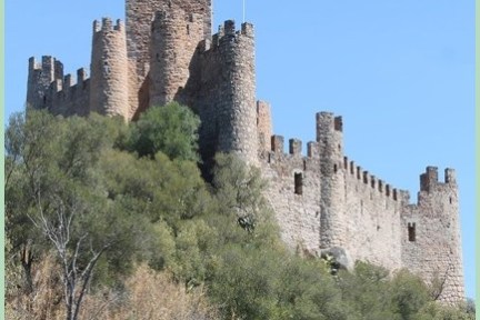a castle surrounded by tall grass