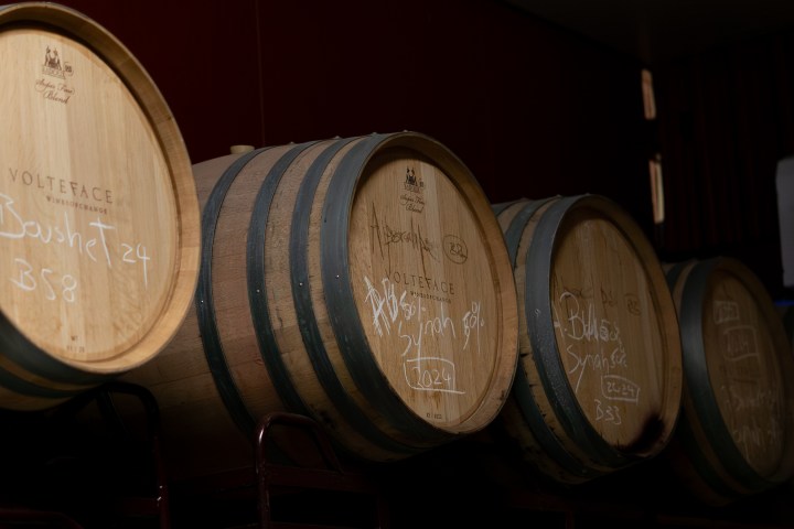 Row of wooden wine barrels with handwritten labels in a dimly lit cellar.